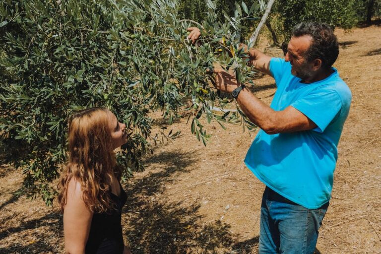 Trochala Olivenöl, Griechenland